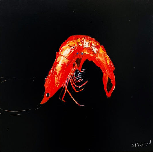 Rob Shaw | Prawn