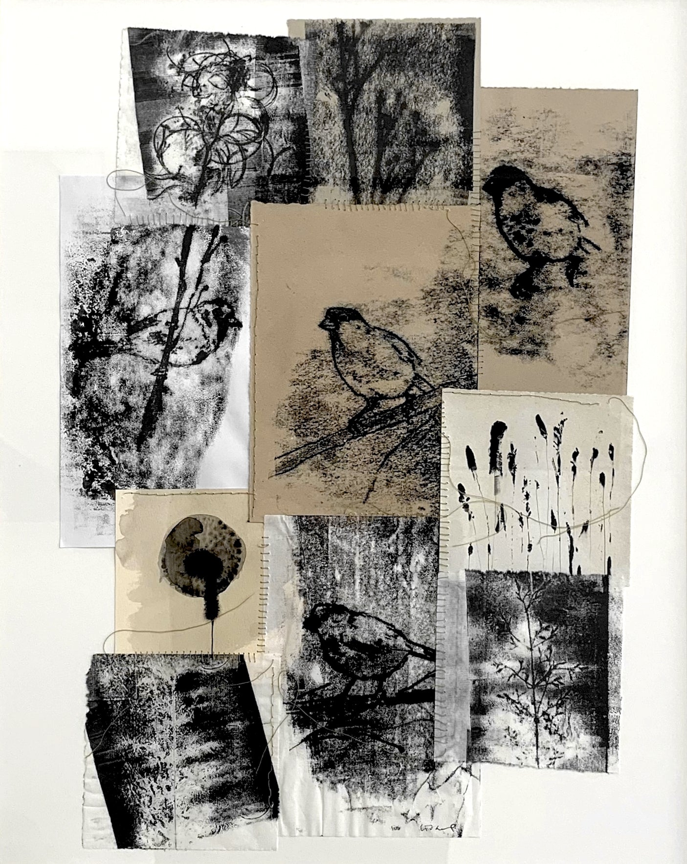 Lisa Pettersson | Sparrows