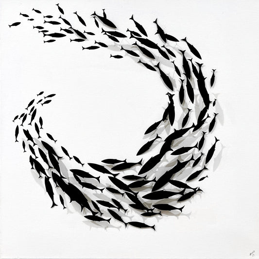 Joanna McDonough | Spiral of Shadows