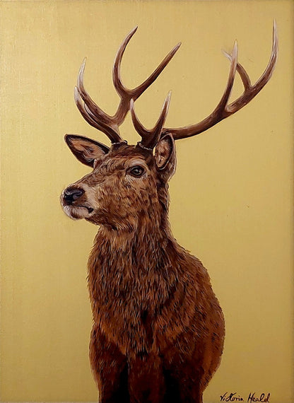 Victoria Heald | Stag