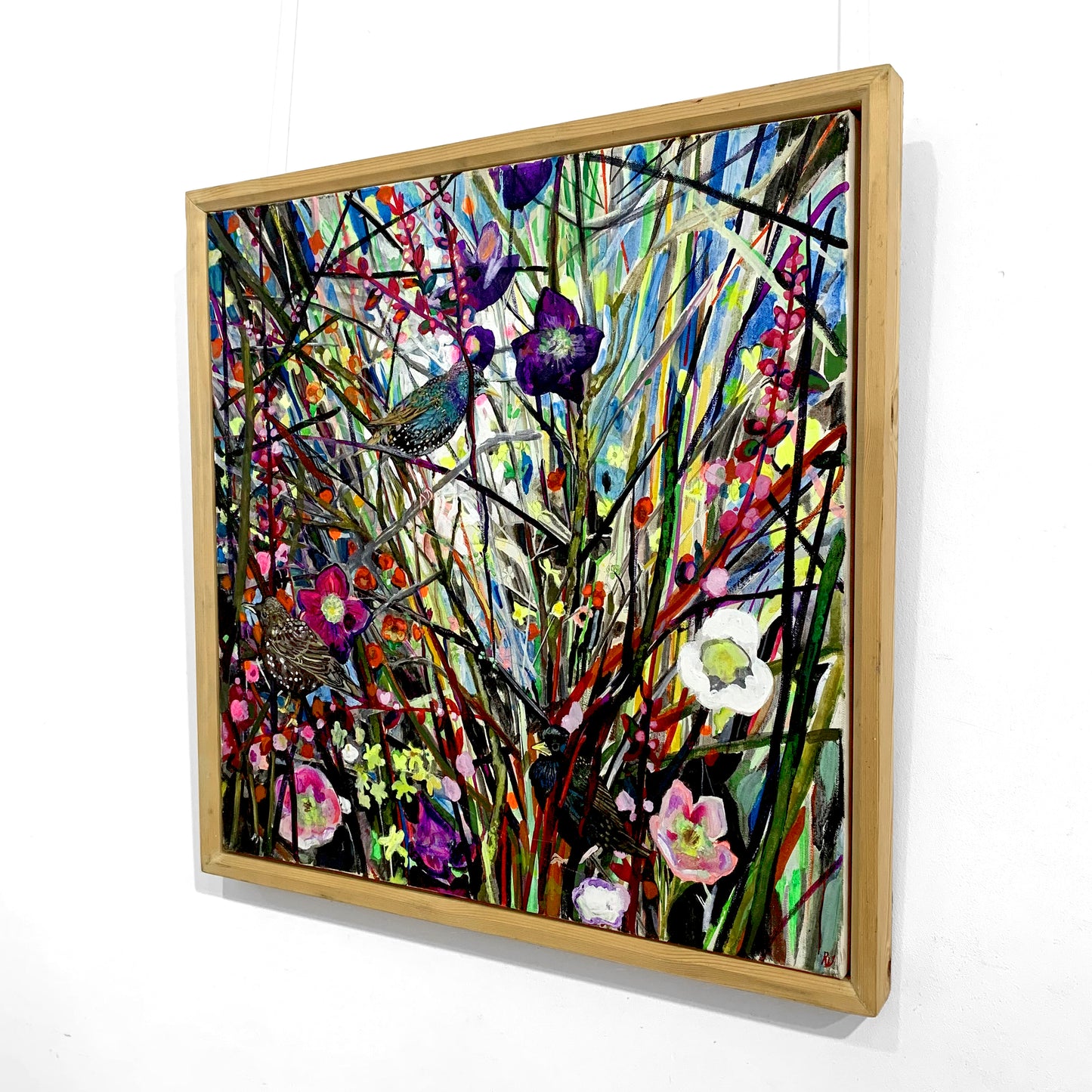 Rachel Vollerthun | Starlings