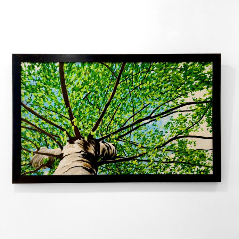 Gavin Weir | Summer Breeze Birch