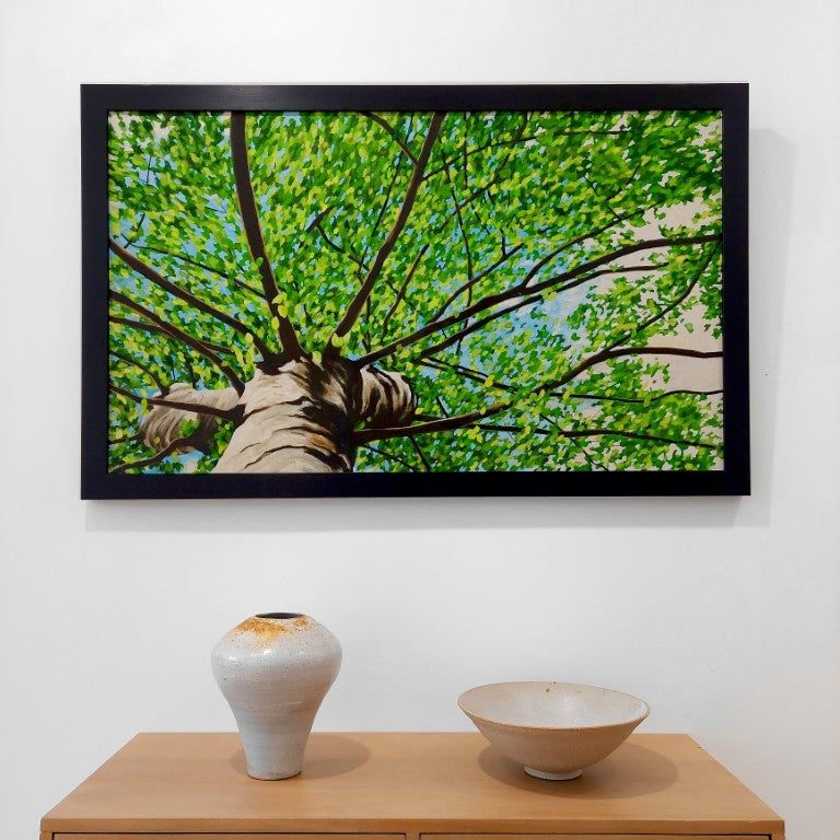 Gavin Weir | Summer Breeze Birch