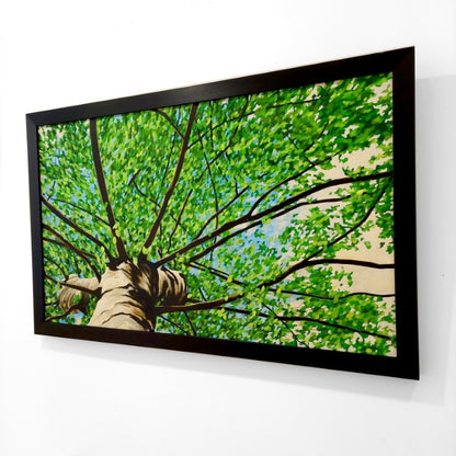 Gavin Weir | Summer Breeze Birch