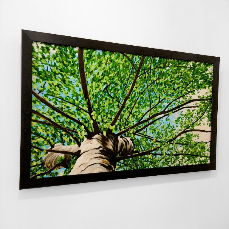 Gavin Weir | Summer Breeze Birch