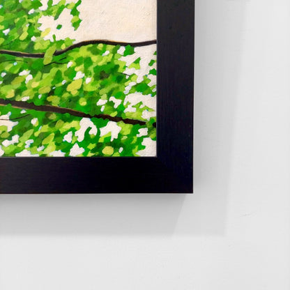Gavin Weir | Summer Breeze Birch