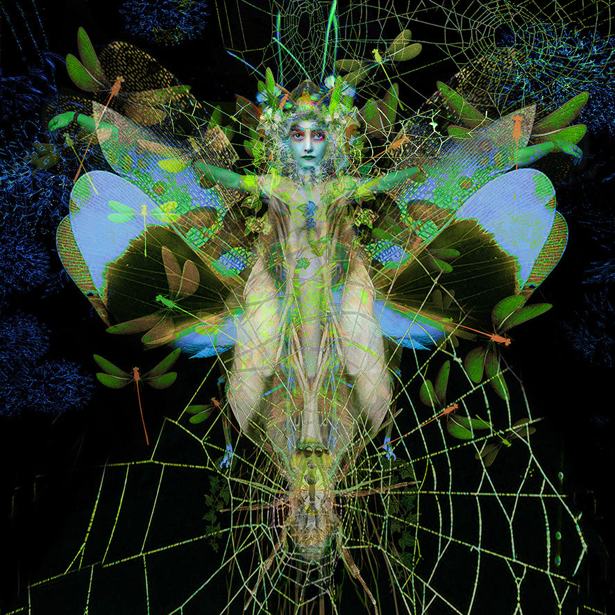 Ashley Cook | The Elemental, 1/20