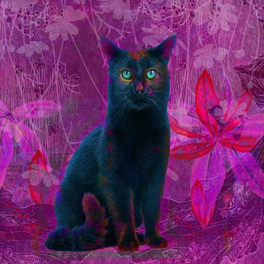 Ashley Cook | The Familiar, 4/20