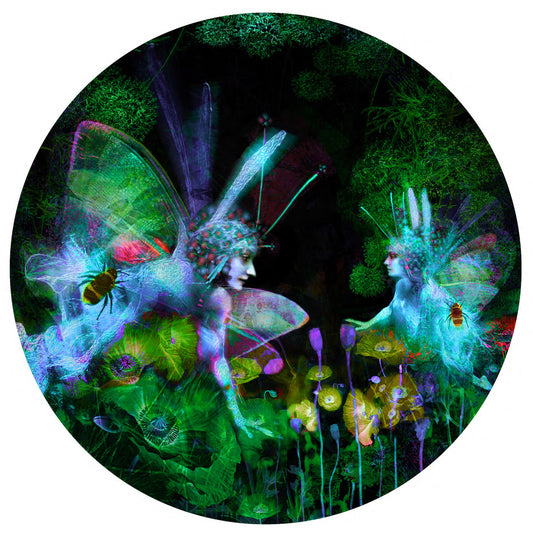 Ashley Cook | The Secret Garden, 2/20