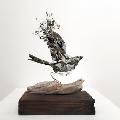 Moira Buchanan | The Ascent