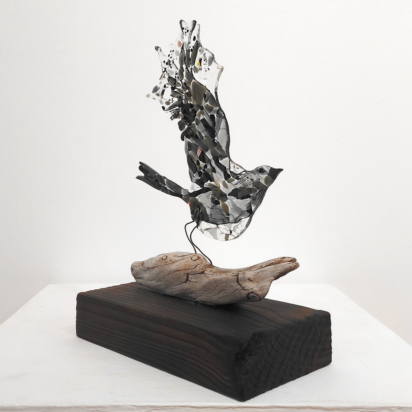 Moira Buchanan | The Ascent