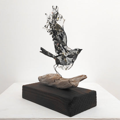 Moira Buchanan | The Ascent