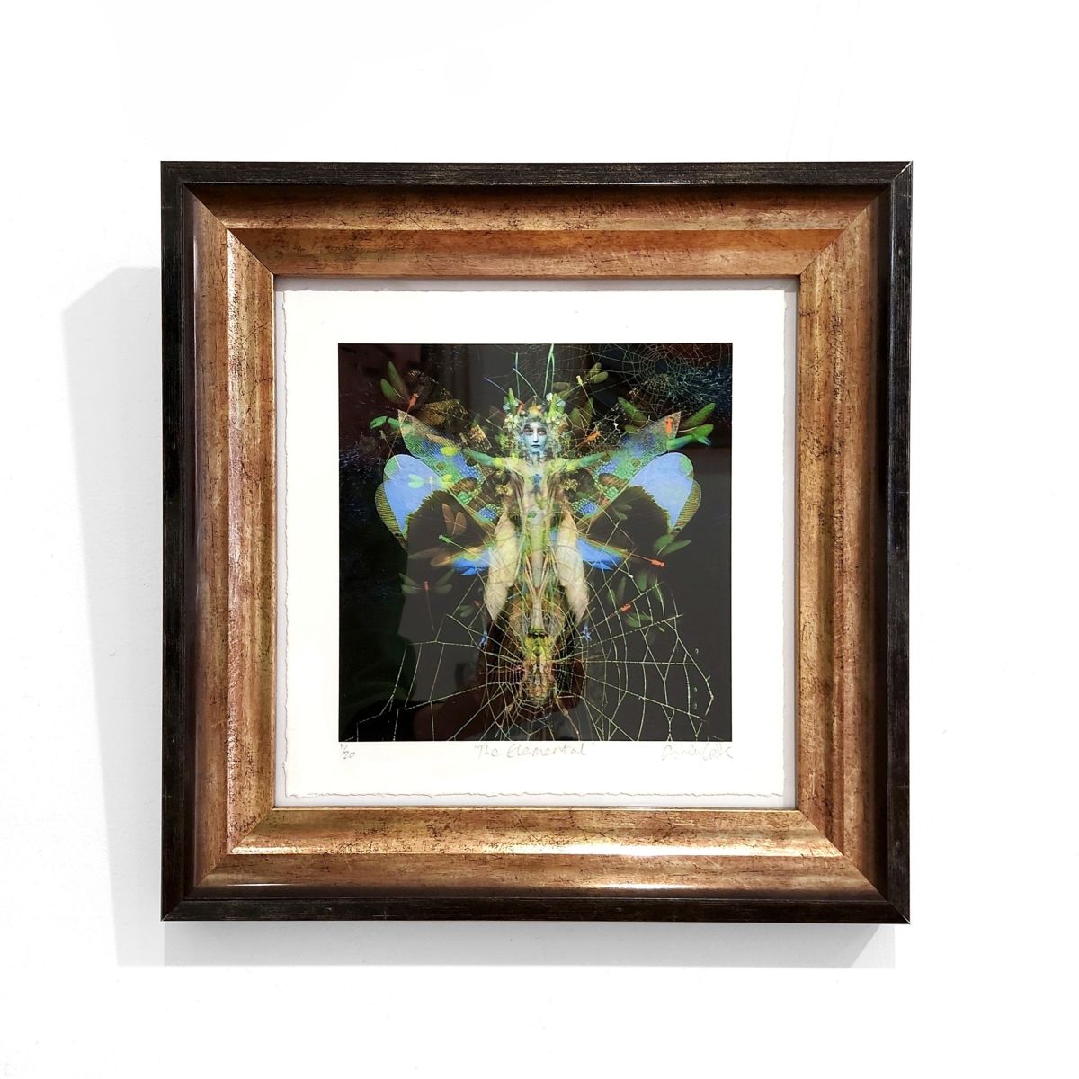 Ashley Cook | The Elemental, 1/20