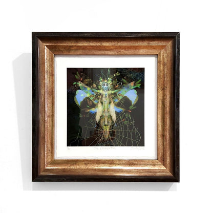 Ashley Cook | The Elemental, 1/20