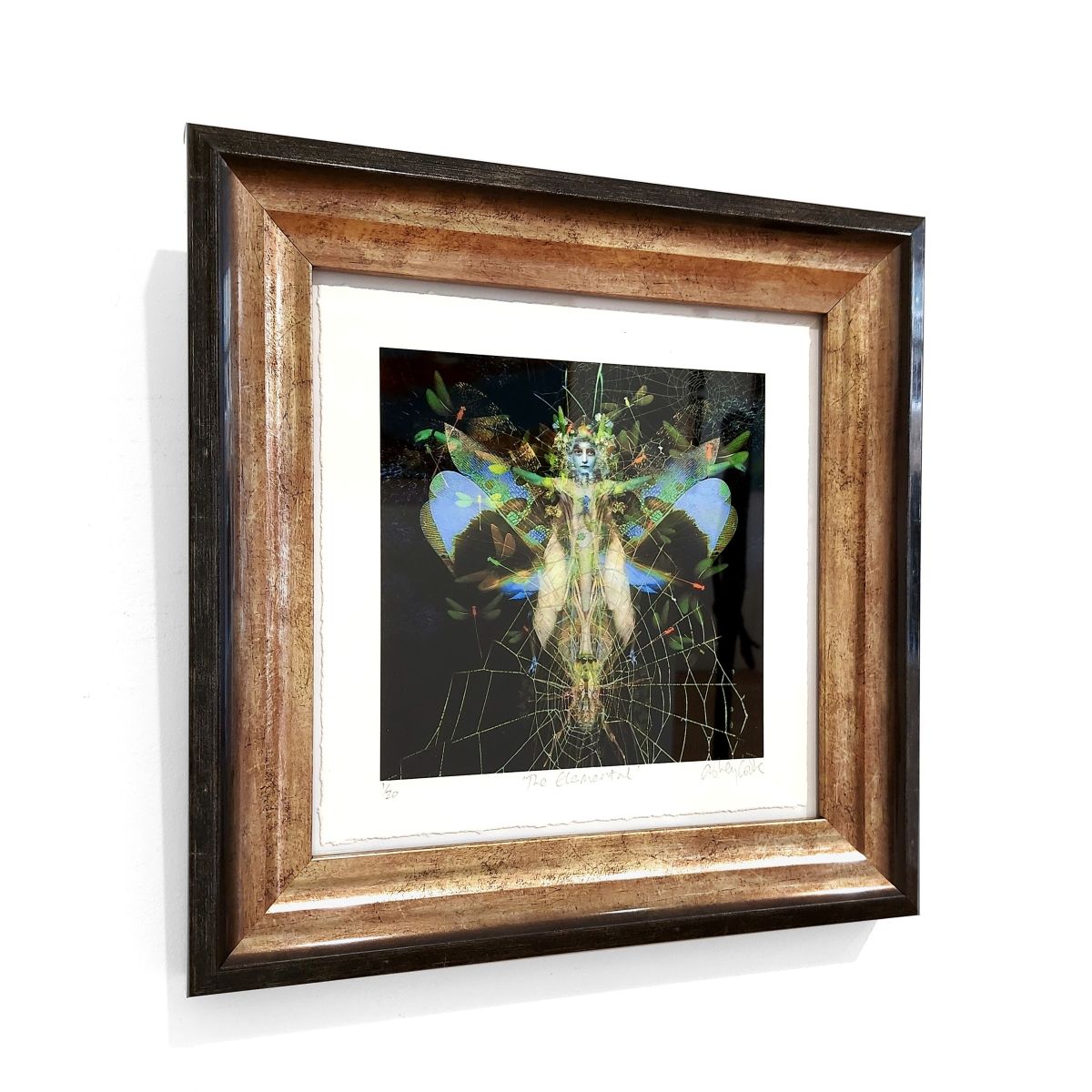 Ashley Cook | The Elemental, 1/20