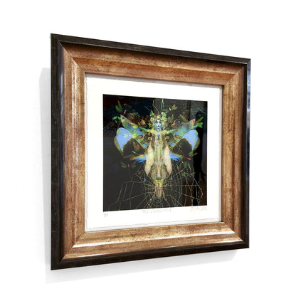 Ashley Cook | The Elemental, 1/20