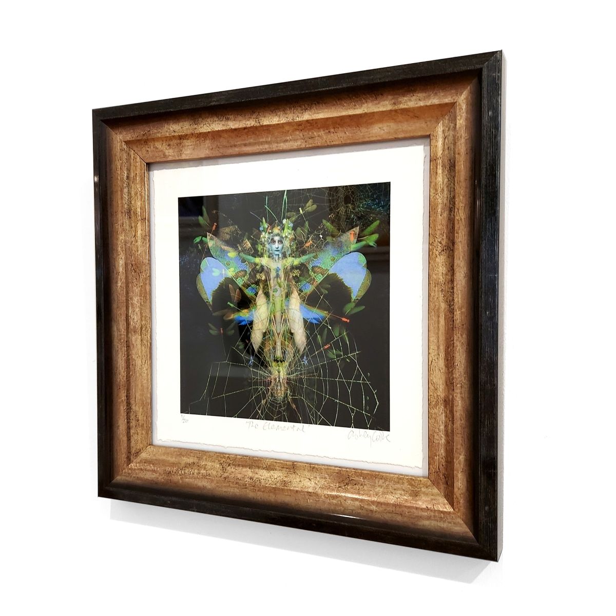 Ashley Cook | The Elemental, 1/20