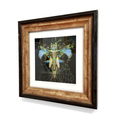 Ashley Cook | The Elemental, 1/20