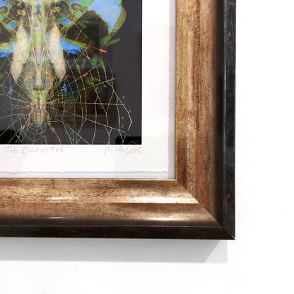 Ashley Cook | The Elemental, 1/20