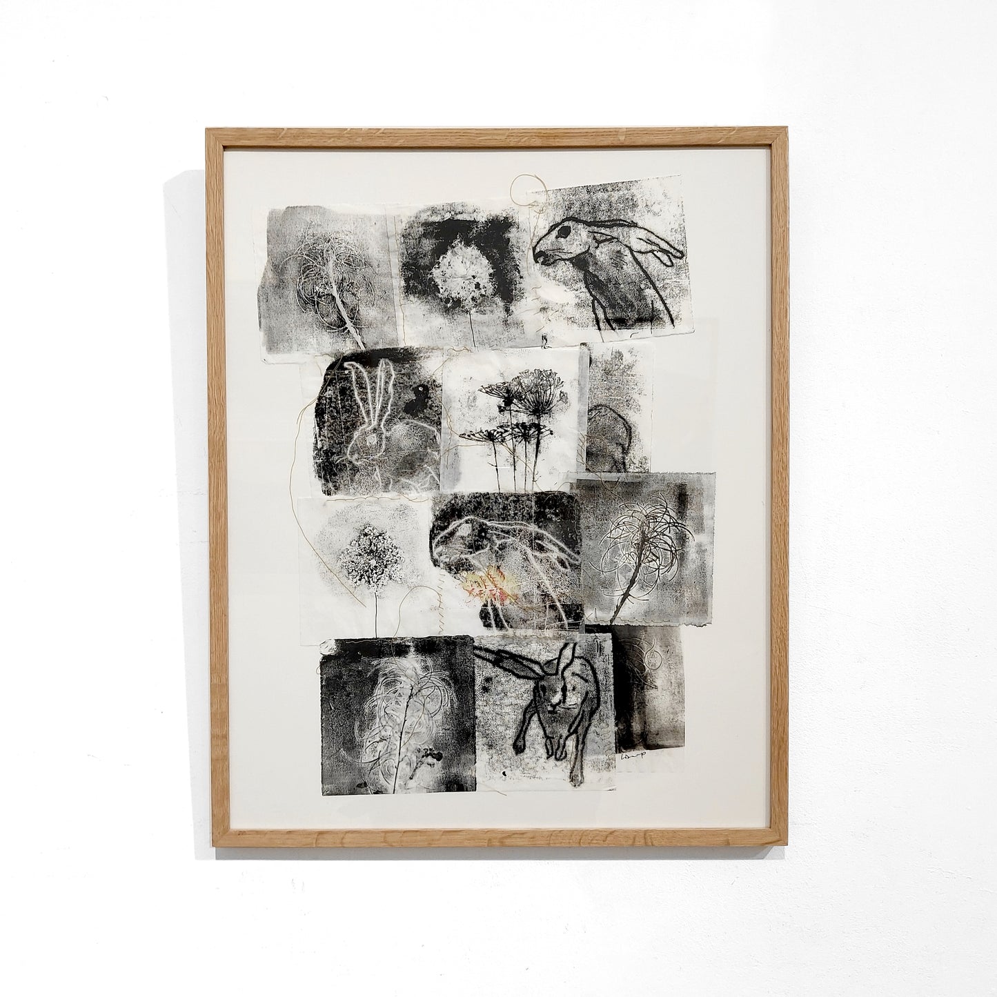 Lisa Pettersson | The Hare