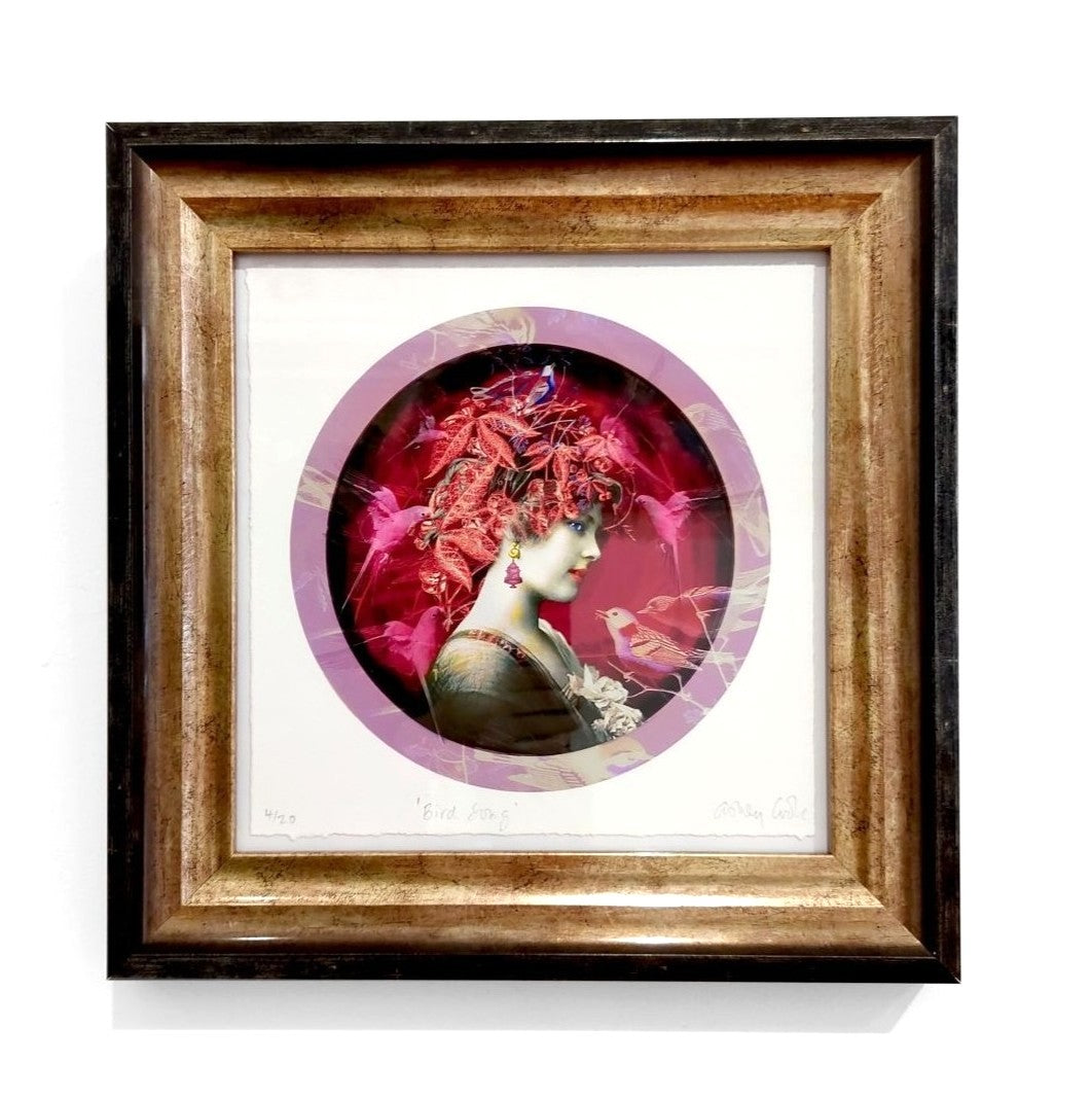 Ashley Cook | The Joy of Bird Song, 4/20