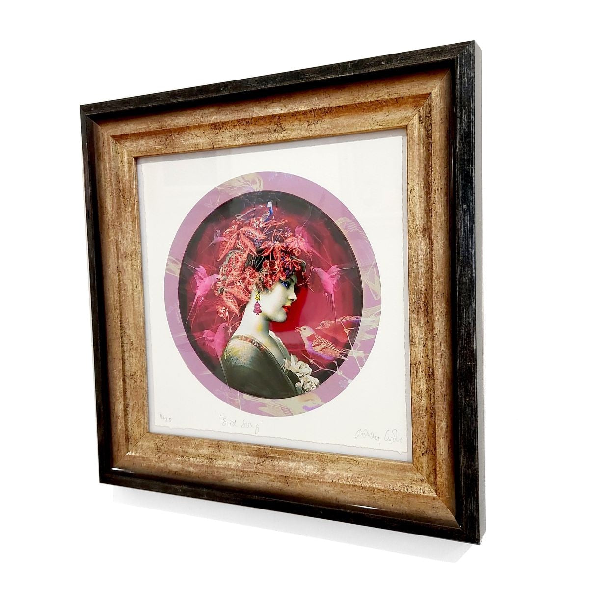 Ashley Cook | The Joy of Bird Song, 4/20