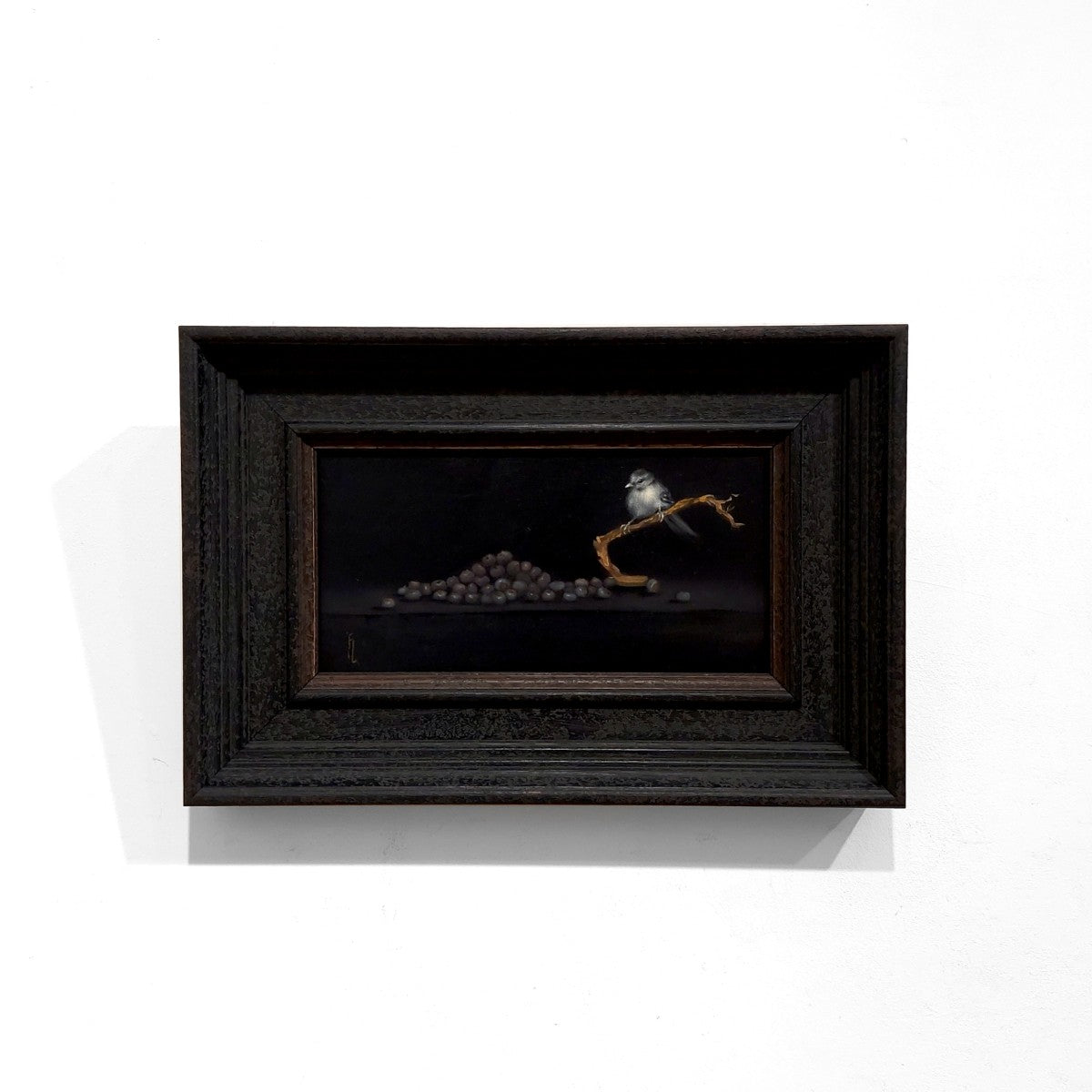 Fiona Longley | The Wee Watcher