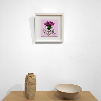 Sheila Fowler | Thistle on Pink