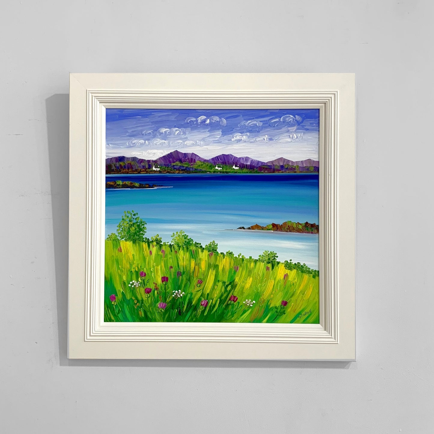 Sheila Fowler | Wildflowers, Isle of Skye