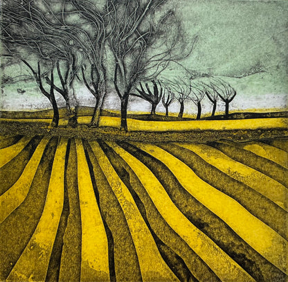 Sarah Ross-Thompson | Windswept and Waving, 20/30