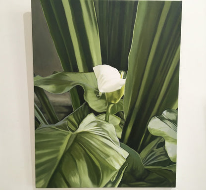 Ellisa Haldenby | Zantedeschia I