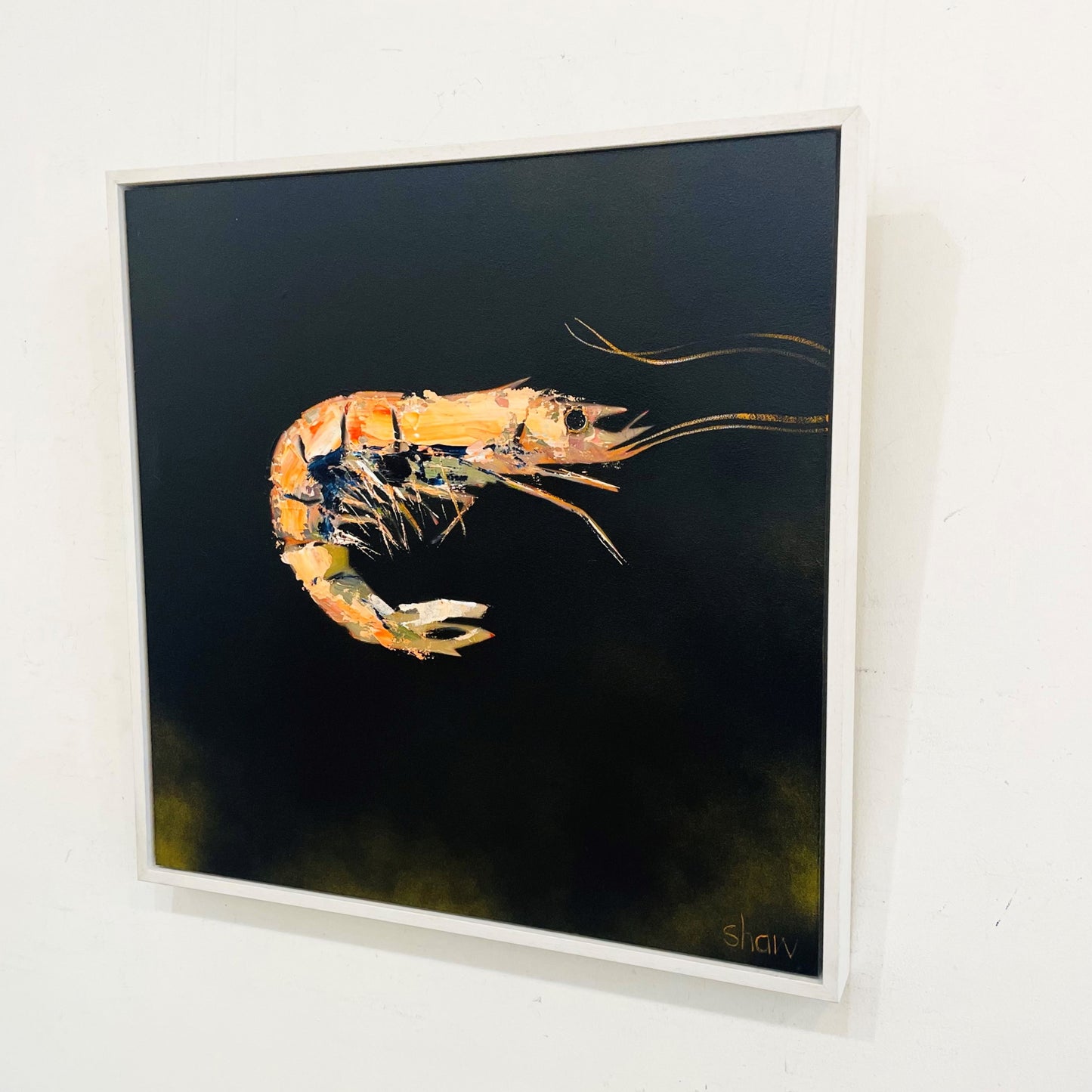 Rob Shaw | Prawn I