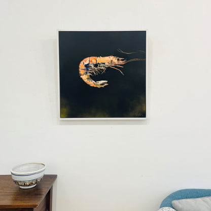 Rob Shaw | Prawn I