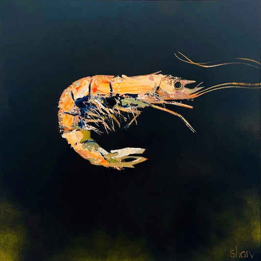 Rob Shaw | Prawn I