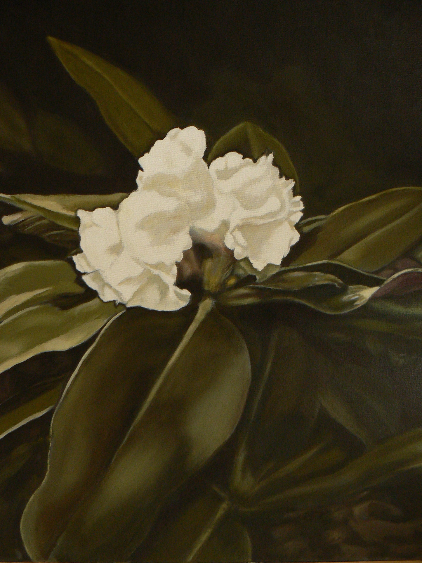 Ellisa Haldenby | Rhododendron IX