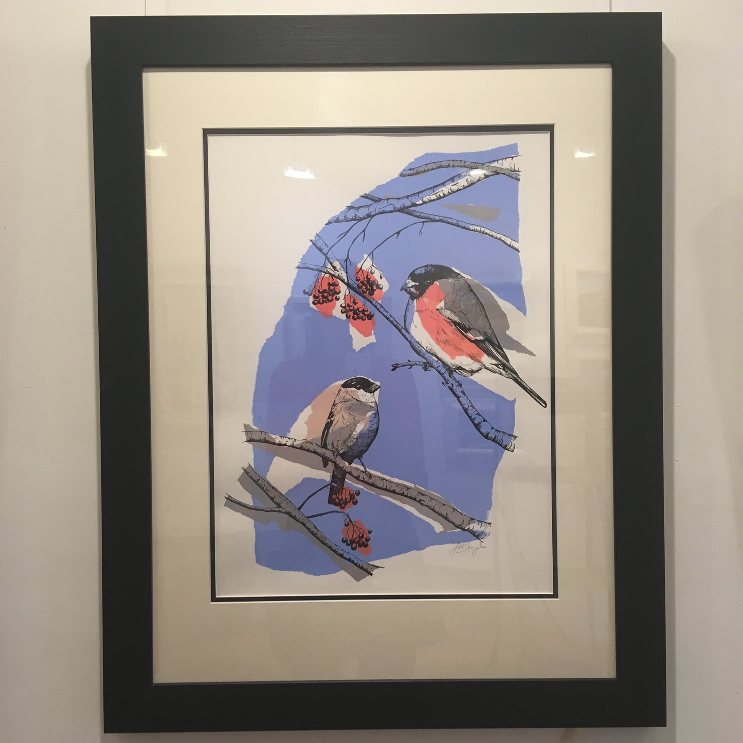 Joanna McDonough | Bullfinch Love - Screenprint with Pen and Ink