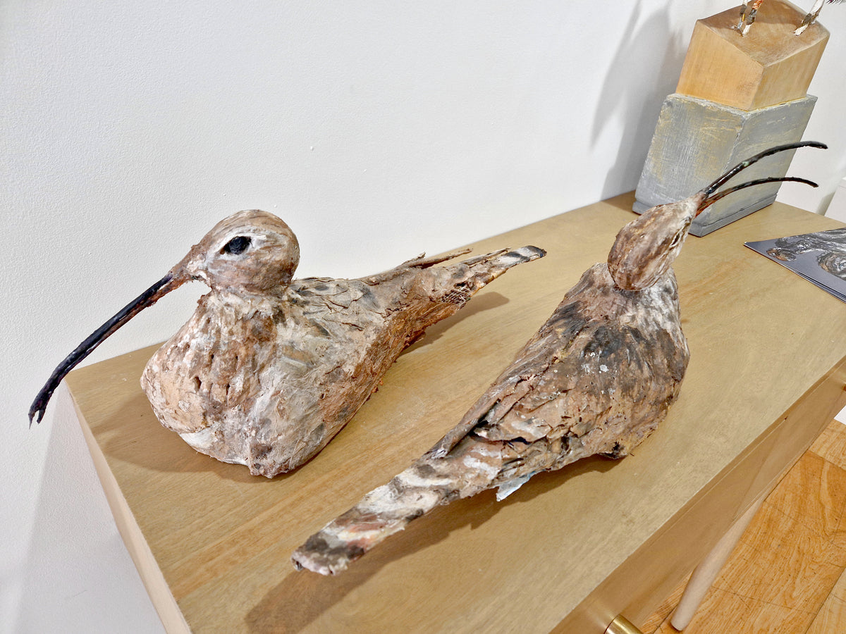 Mark Gibbs - 'Curlew Pair'