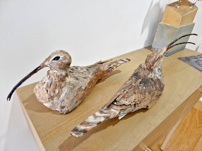 Mark Gibbs - 'Curlew Pair'