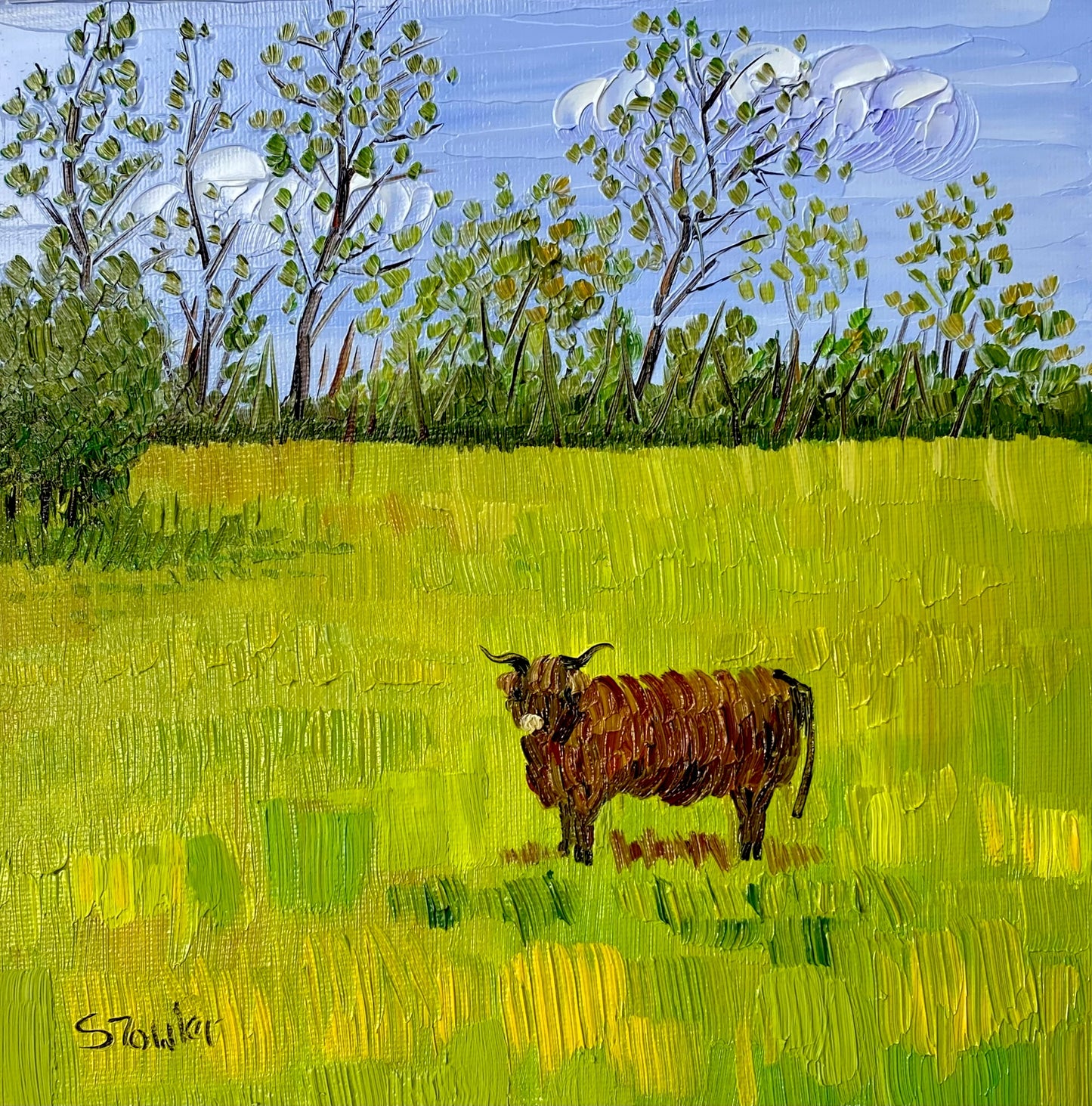 Sheila Fowler | Highland Coo, Pollok Park