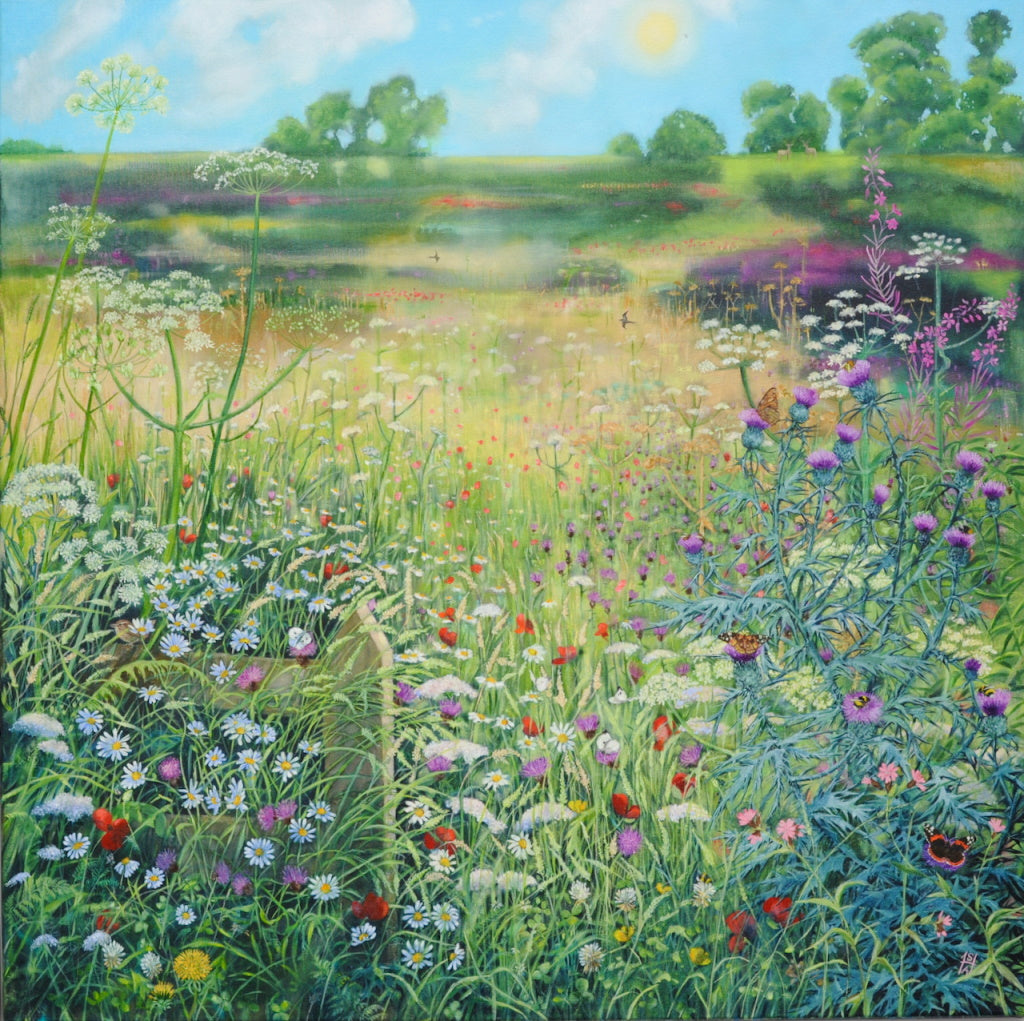 Sheila Anderson Hardy | Summer Meadow, Scottish Borders