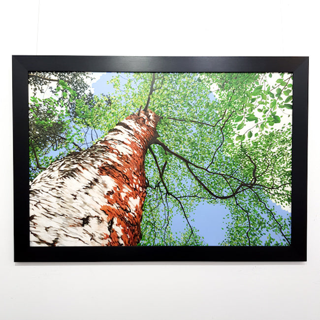 Gavin Weir | Red Moss Birch