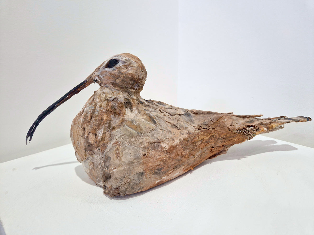 Mark Gibbs - 'Curlew Pair'