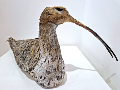 Mark Gibbs - 'Curlew'