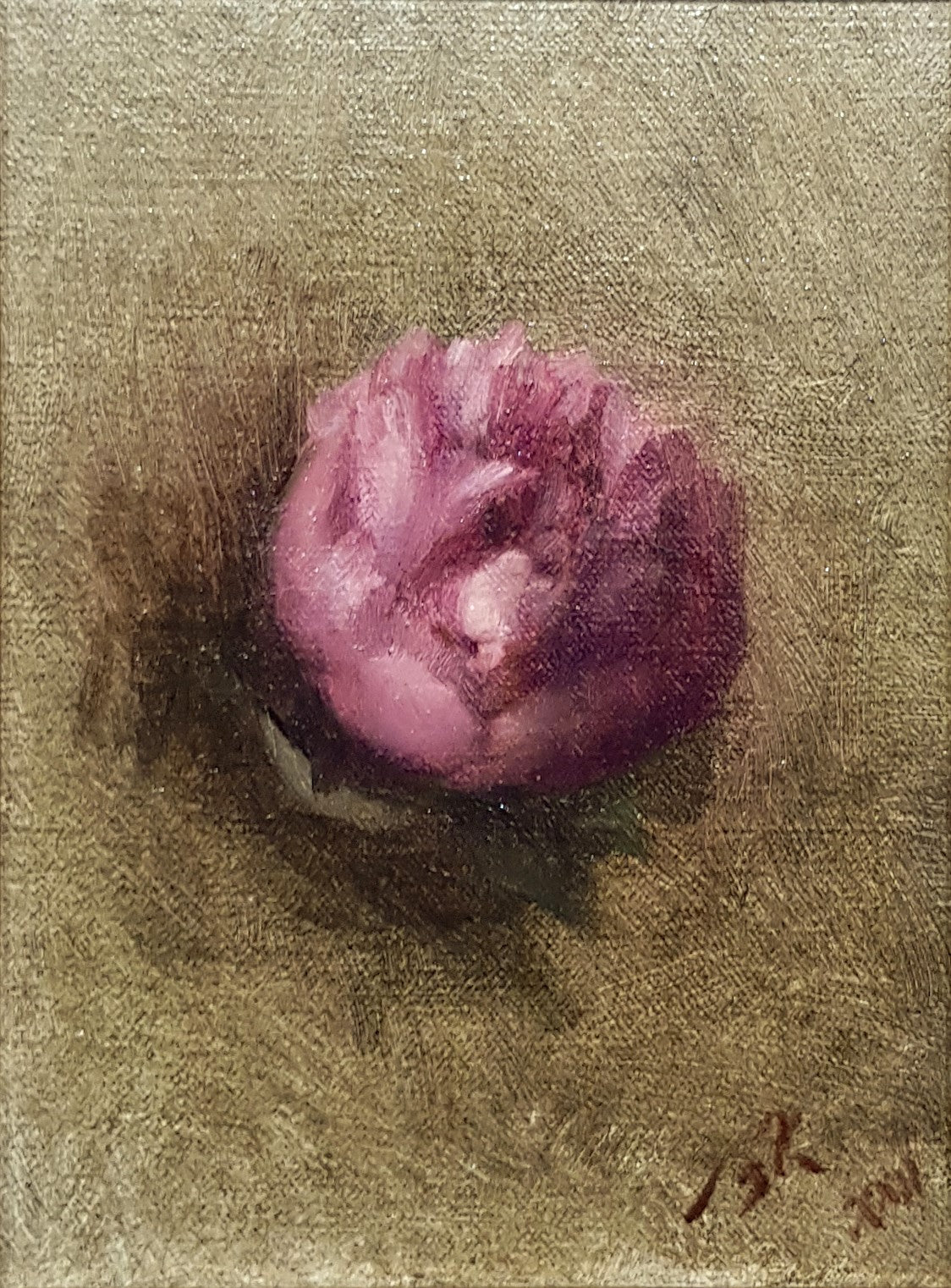 Ke Zhang | Pink Peony