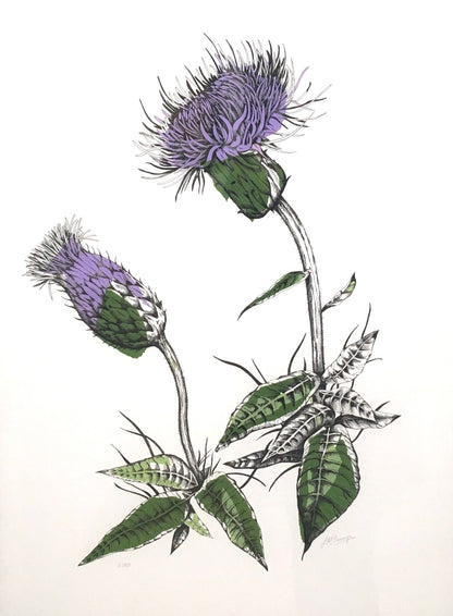 Joanna McDonough | Melancholy Thistle