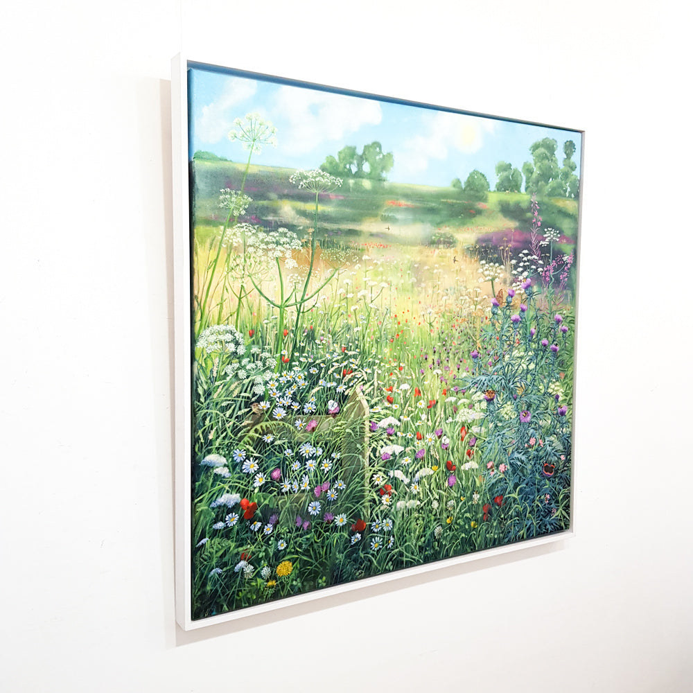 Sheila Anderson Hardy | Summer Meadow, Scottish Borders