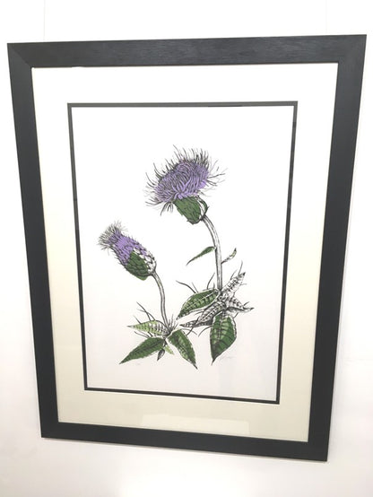 Joanna McDonough | Melancholy Thistle