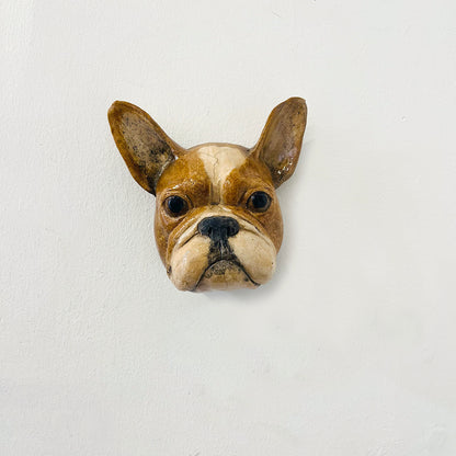 Alex Johannsen | French Bulldog