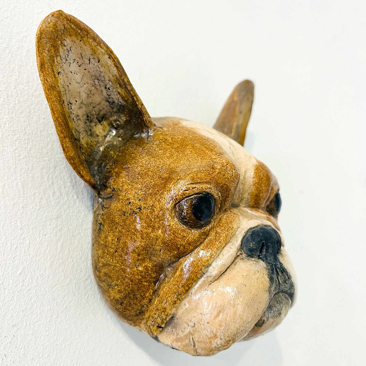 Alex Johannsen | French Bulldog