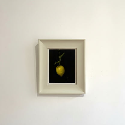 Fiona Longley | Lemon Bathed